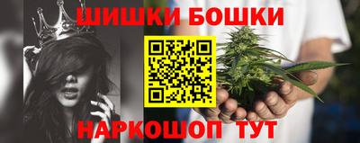 ECSTASY Кингисепп