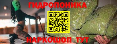 ECSTASY Кингисепп
