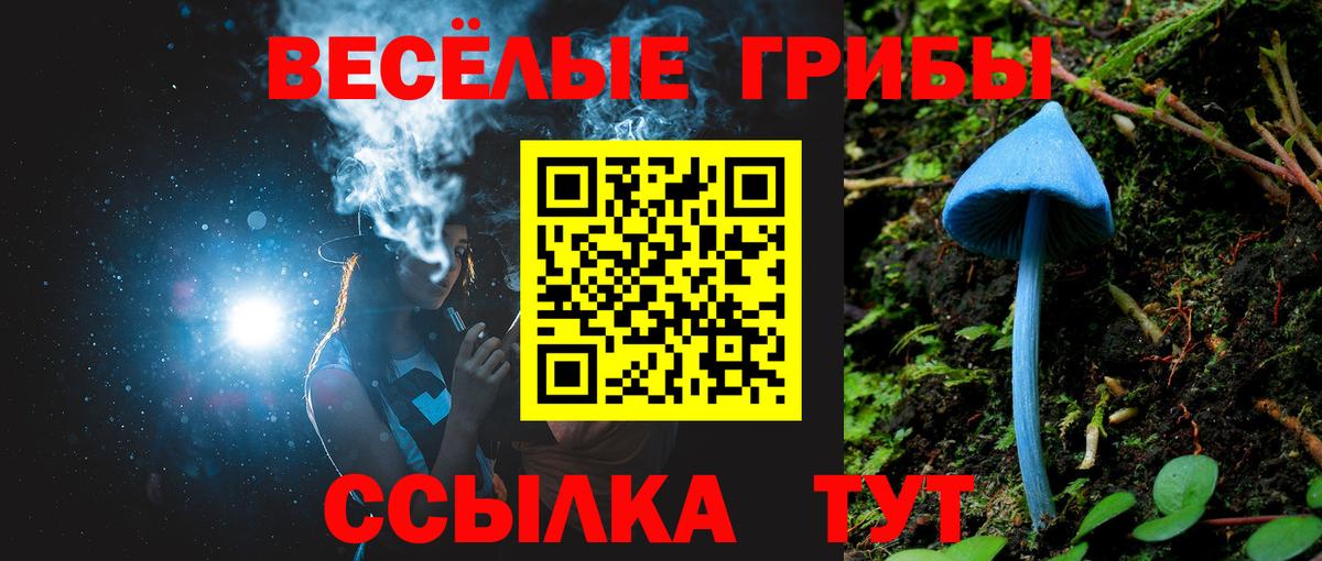 Галлюциногенные грибы ЛСД Валуйки