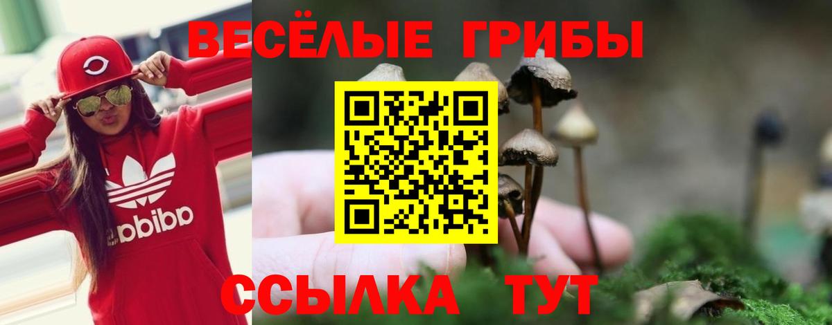Галлюциногенные грибы Cubensis  Галлюциногенные грибы GOLDEN TEACHER  Вход с VPN  Валуйки 